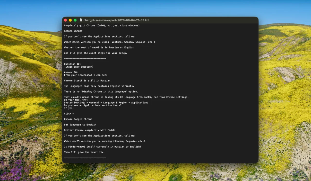 The exported ChatGPT conversation opened as a local structured TXT file